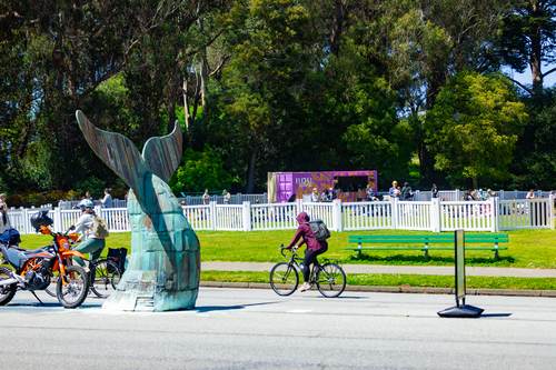 The Whale's Tail, 2026
